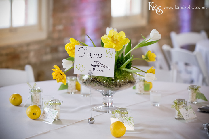 Dallas Wedding Photographers - K & S Photography